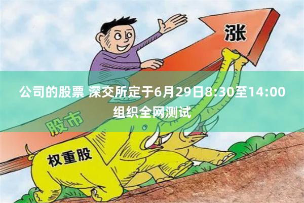 公司的股票 深交所定于6月29日8:30至14:00组织全网测试