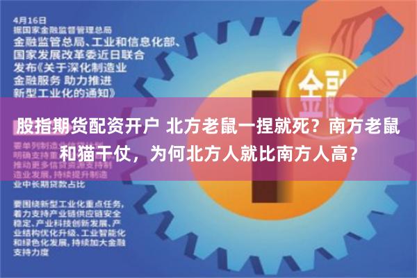 股指期货配资开户 北方老鼠一捏就死？南方老鼠和猫干仗，为何北方人就比南方人高？